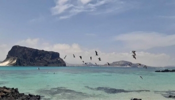 جزيرة عش الغراب، محافظة شبوة على البحر العربي شرقي البلاد.  ‏⁧⁩