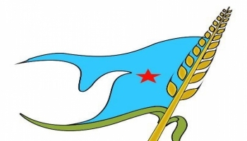 لاصحة لتنازل الاشتراكي عن حقيبته للانتقالي