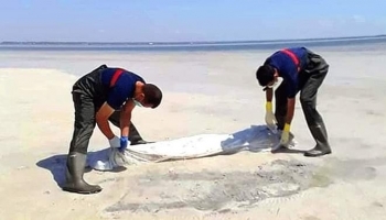 عدد الغرقى الافارقة قد يصل الى 300 مهاجر