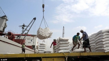 الحكومة تبدأ مفاوضات مع الهند لاستيراد القمح