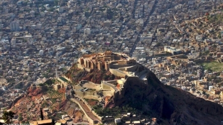 حينما تكون براميل القمامة أكثر إنسانية من أحضان بعض الآباء