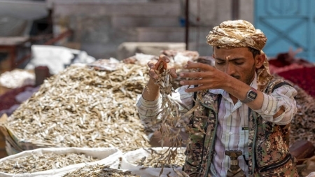 سياسة الولايات المتحدة ومسار اليمن المستقبلي