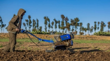 "الفاو" تطلق نداء بـ71 مليون دولار لتمويل خطتها الإنسانية في اليمن عام 2023