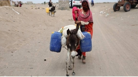 "الهجرة الدولية" توفر المياه لأكثر من 20 ألف شخص في مديريات الساحل الغربي