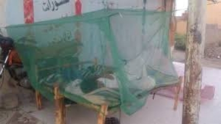 "الصحة العالمية" تقول إن ثلثي اليمنيين معرضين لخطر الإصابة بالملاريا