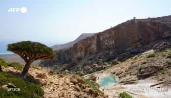 أزمة بيئية تهدد التنوع البيولوجي في أرخبيل سقطرى اليمني