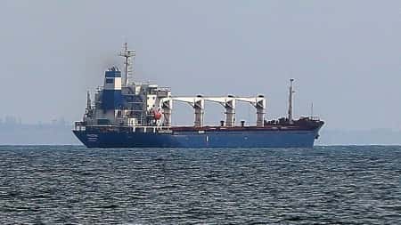 كييف: شحنات جديدة من القمح الأوكراني لليمن والسودان وكينيا خلال الأيام القادمة