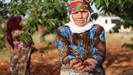 صحة: فواكه منخفضة السعرات الحرارية لخسارة الوزن