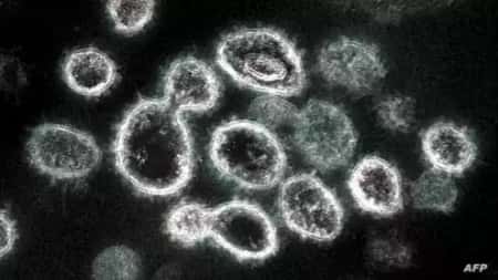 جنيف: "الصحة العالمية" تضع المتحور الجديد "آيريس" تحت المراقبة وليس "مثير للقلق"