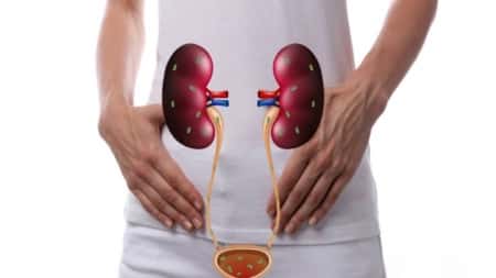 صحة: أعراض التهابات المسالك البولية والطرق العلاجية