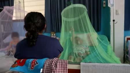 صحة: أعراض حمى الضنك وسبل الوقاية