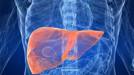 صحة: ثلاث عادات خطيرة تدمر الكبد