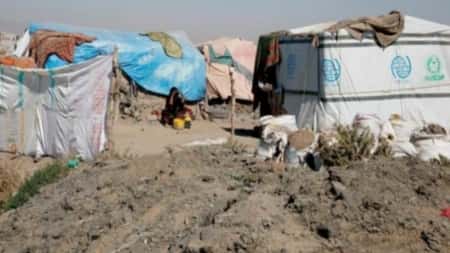 اليمن: أكثر من 16 مليون شخص بحاجة إلى خدمات الحماية عام 2024