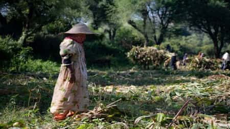 تحليل: حرب تمر على أجساد النساء