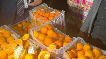 لبنان يصادر ملايين من حبوب الأمفيتامين في شحنة ليمون