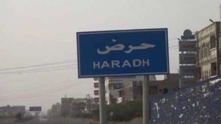 القوات الحكومية تعلن تقدما نحو مدينة حرض بعد يوم من تطويقها