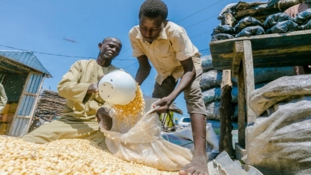 كنيسة يسوع المسيح تقدم 32 مليون دولار مساعدة غذائية لتسع بلدان فقيرة بينها اليمن